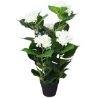 Wit / Hortensia/60 cm