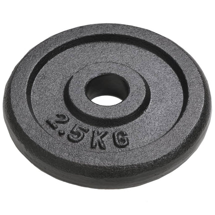 Halterschijven 8 St 8X2,5 Kg Gietijzer