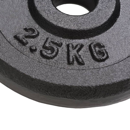 Halterschijven 8 St 8X2,5 Kg Gietijzer