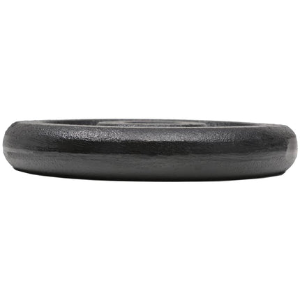 Halterschijven 8 St 8X2,5 Kg Gietijzer