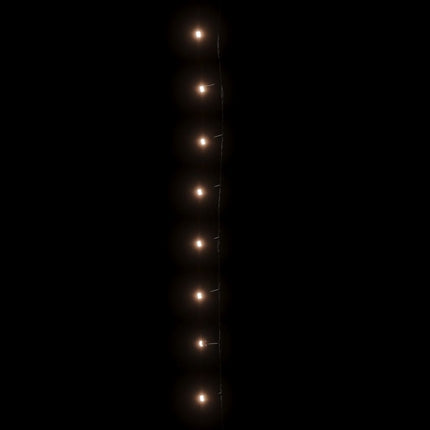 Lichtsnoer Met 1000 Led's Met 8 Lichteffecten Ip44