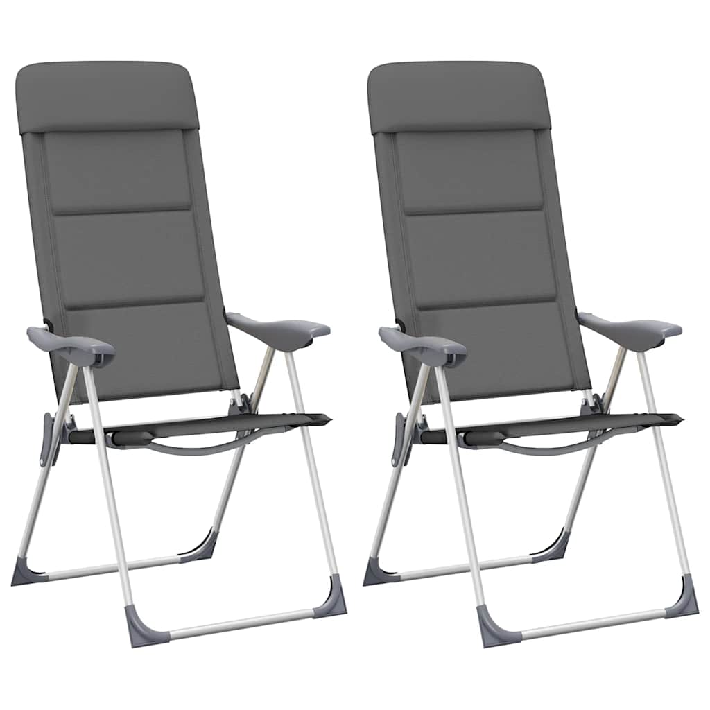 Campingstoelen 58X69X111 Cm Aluminium 2 St