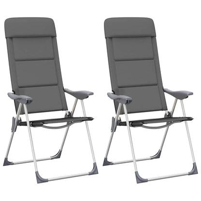 Campingstoelen 58X69X111 Cm Aluminium 2 St