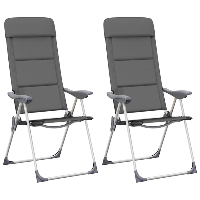 Campingstoelen 58X69X111 Cm Aluminium 2 St