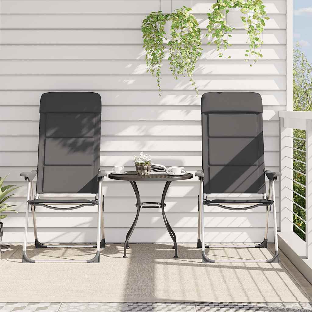Campingstoelen 58X69X111 Cm Aluminium 2 St
