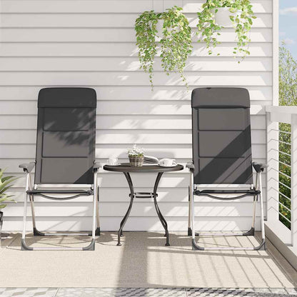 Campingstoelen 58X69X111 Cm Aluminium 2 St