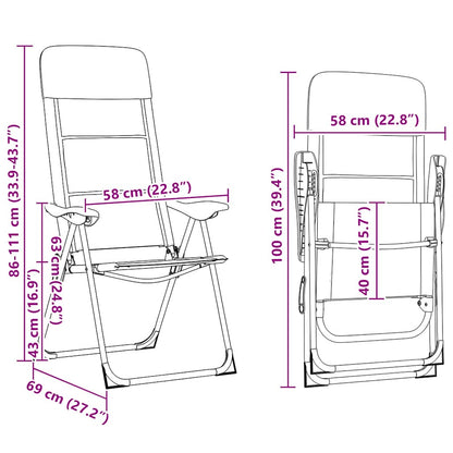 Campingstoelen 58X69X111 Cm Aluminium 2 St