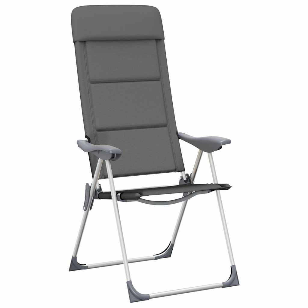 Campingstoelen 58X69X111 Cm Aluminium 2 St