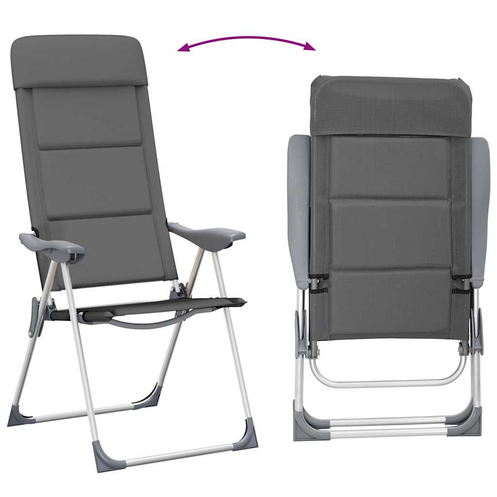 Campingstoelen 58X69X111 Cm Aluminium 2 St