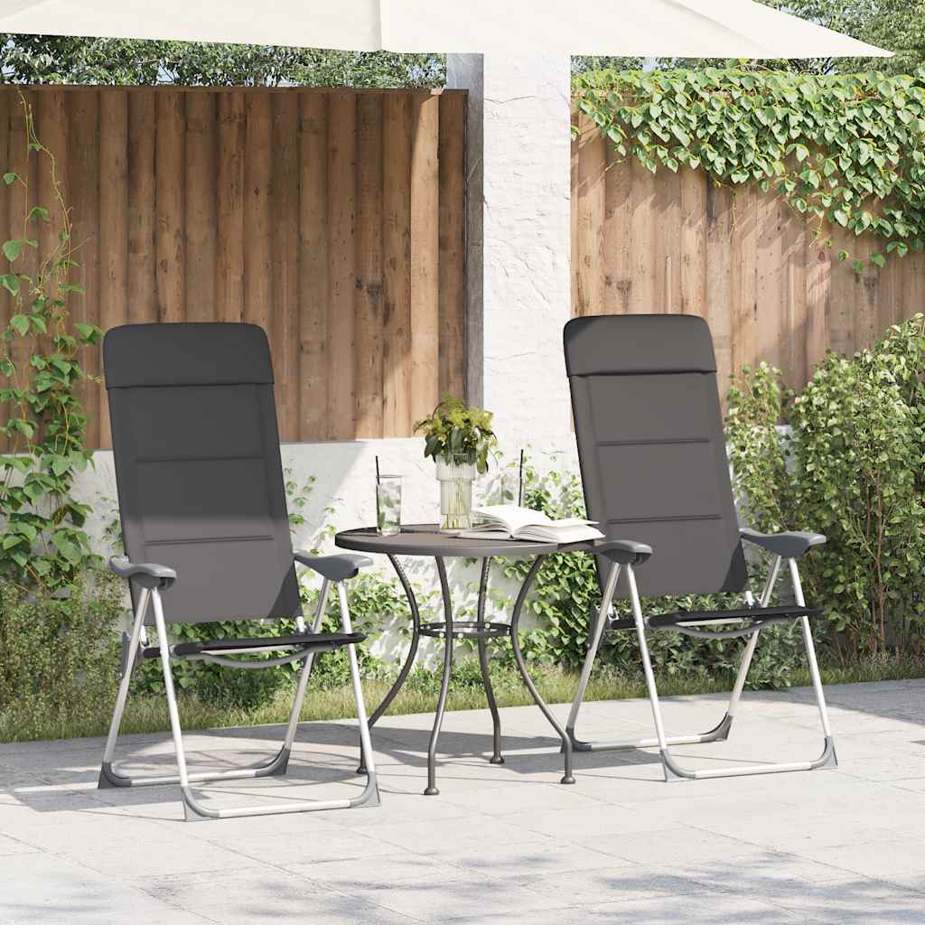 Campingstoelen 58X69X111 Cm Aluminium 2 St