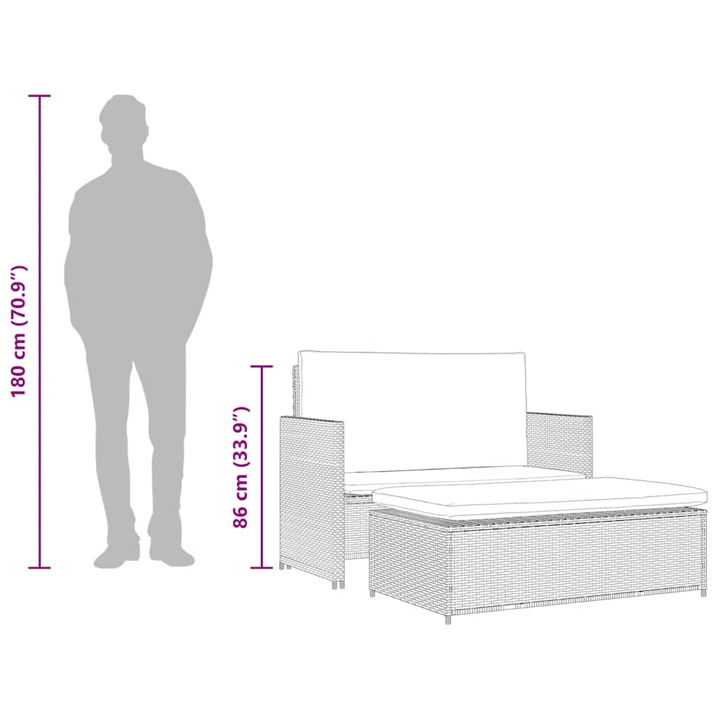 2-Delige Loungeset Met Kussens Poly Rattan