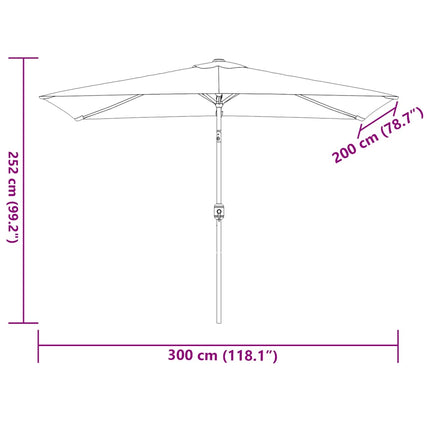 Parasol Met Metalen Paal 300X200 Cm