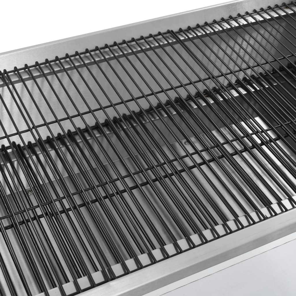 Draaispit Barbecue Met Elektrische Motor