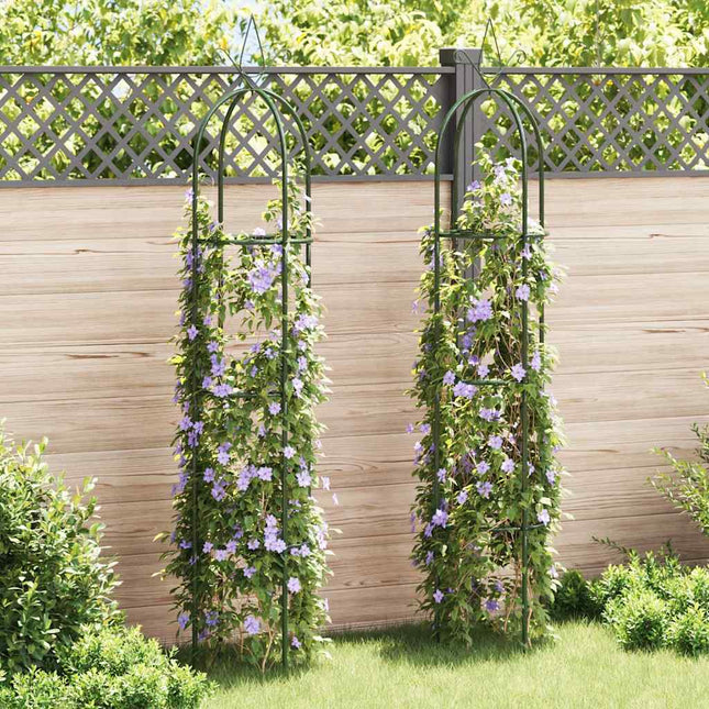 Tuinboogtorens 2 St