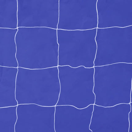 Voetbaldoel Met Richtmuur Hoogwaardig 240X92X150 Cm Staal