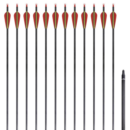 Pijlen Voor Recurveboog Standaard 30" 0,76 Cm Koolstof 12 Stuks