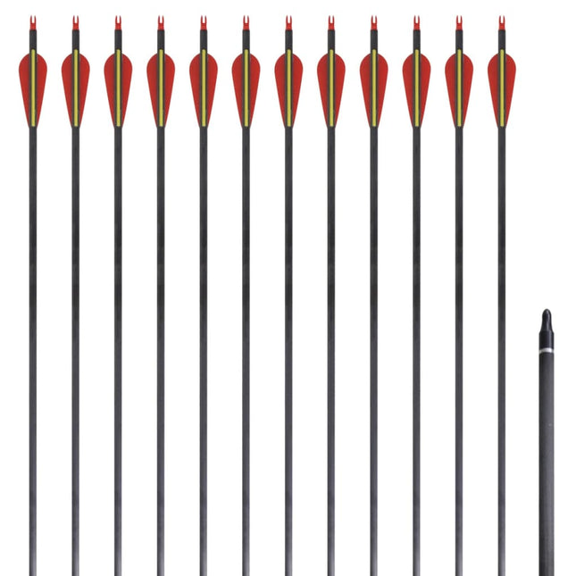 Pijlen Voor Recurveboog Standaard 30" 0,76 Cm Koolstof 12 Stuks