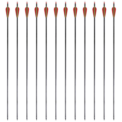 Pijlen Voor Recurveboog Standaard 30" 0,76 Cm Koolstof 12 Stuks