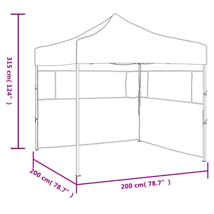 Partytent Inklapbaar 2X2 M Staal Antraciet