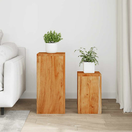 Plantenstandaards Massief Acaciahout
