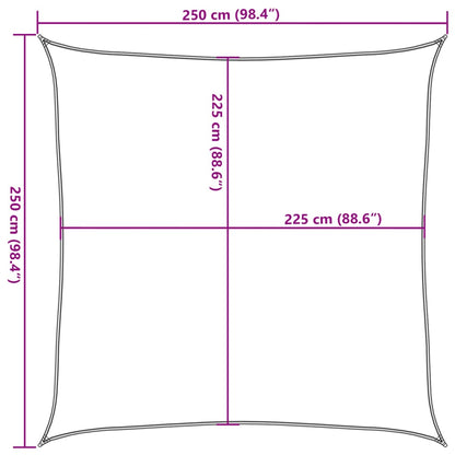 Zonnezeil 160 G/M² 2,5X2,5 M Hdpe Kleurig Antraciet