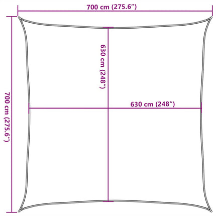 Zonnezeil 160 G/M² Vierkant Hdpe Blauw