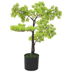 Zwart en groen