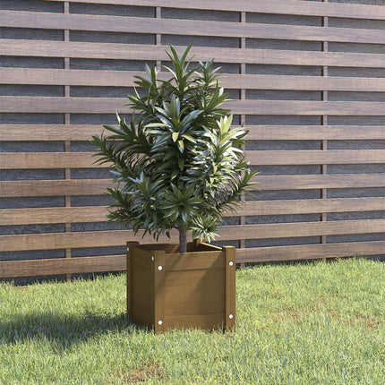 Plantenbakken 31X31X31 Cm Massief Grenenhout
