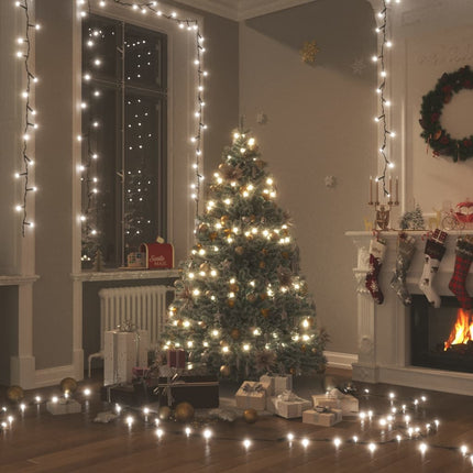 Lichtsnoer Met 1000 Led's Met 8 Lichteffecten Ip44