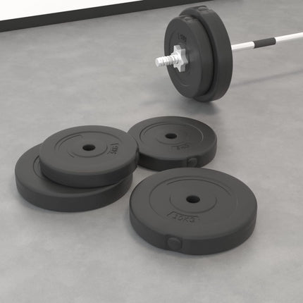 Halterschijven 2 X 10 Kg