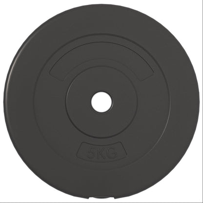 Halterschijven 6 st 30 kg cement