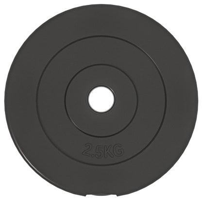 Halterschijven 6 st 30 kg cement