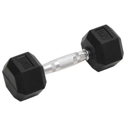 Halters 2 St 10 Kg Totaal Gietijzer