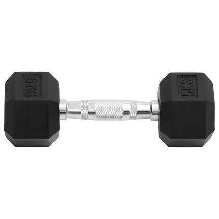 Halters 2 St 10 Kg Totaal Gietijzer