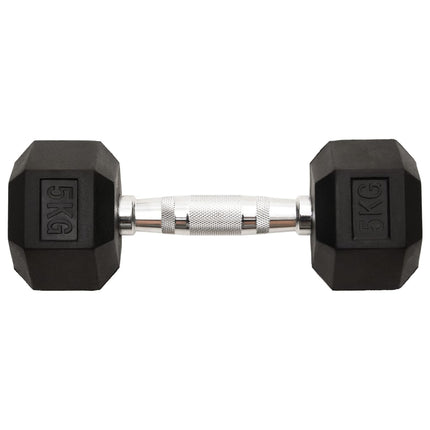 Halters 2 St 10 Kg Totaal Gietijzer
