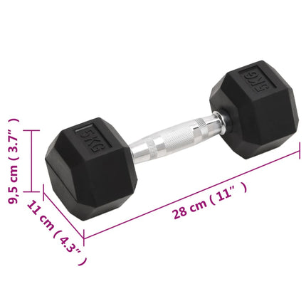 Halters 2 St 10 Kg Totaal Gietijzer