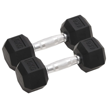 Halters 2 St 10 Kg Totaal Gietijzer