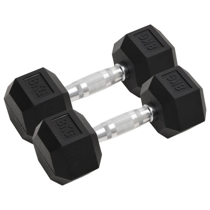 Halters 2 St 10 Kg Totaal Gietijzer