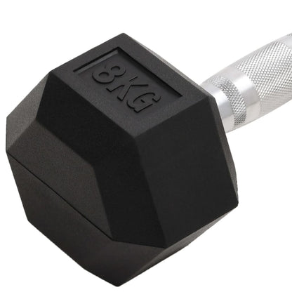 Halters 2 st 16 kg totaal gietijzer