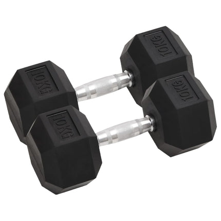 Halters 2 St 10 Kg Totaal Gietijzer