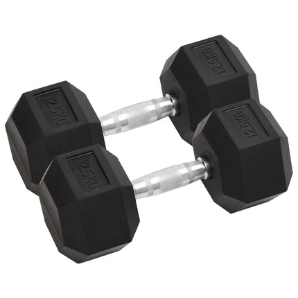 Halters 2 St 10 Kg Totaal Gietijzer
