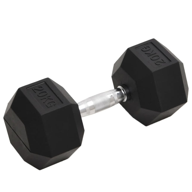 Halters 2 St 10 Kg Totaal Gietijzer
