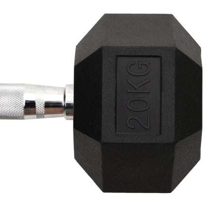 Gietijzeren halter 20 kg