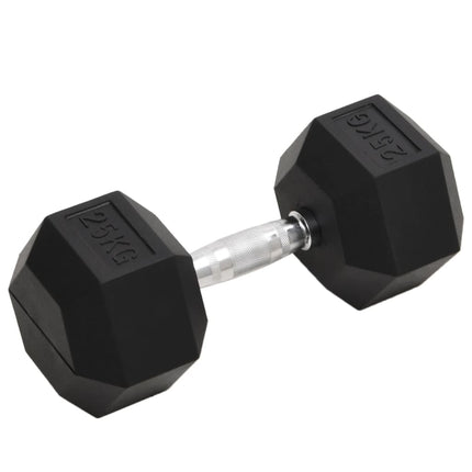 Halters 2 St 10 Kg Totaal Gietijzer