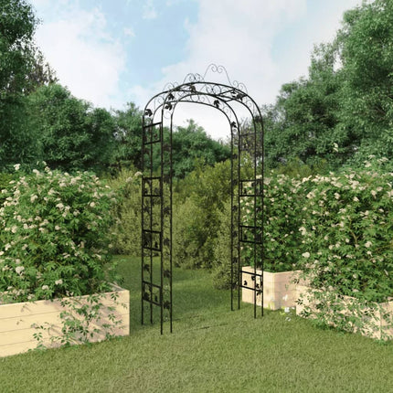 Tuinboog 116X45X240 Cm Staal Zwart Koudwit