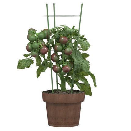 Plantensteunen Met 3 Ringen 45 Cm Staal Groen