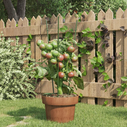 Plantensteunen Met 3 Ringen 45 Cm Staal Groen