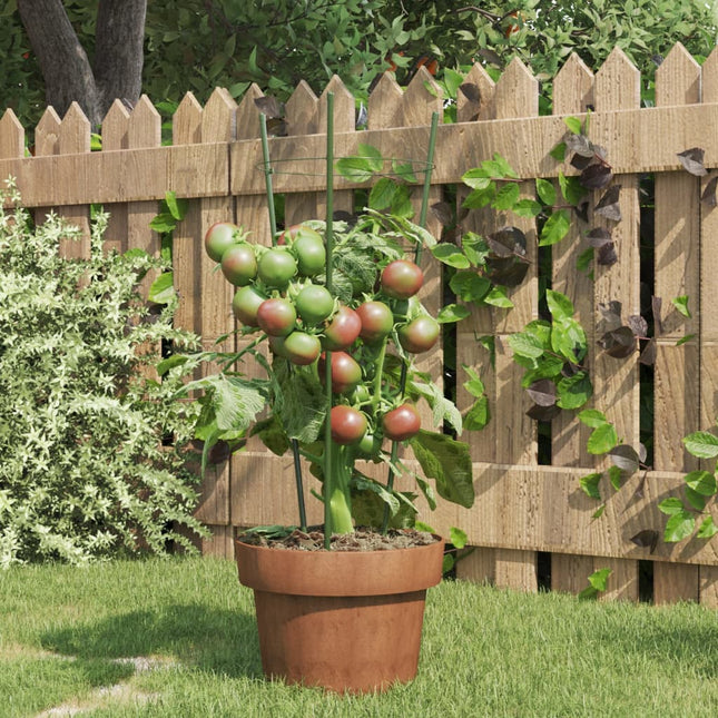 Plantensteunen Met 3 Ringen 45 Cm Staal Groen