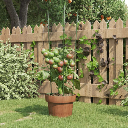 Plantensteunen Met 3 Ringen 45 Cm Staal Groen