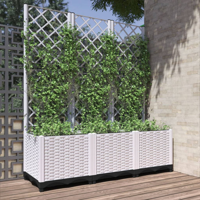 Plantenbak Met Trellis Pp